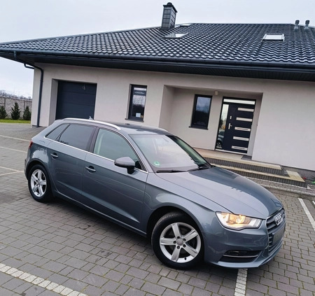 Audi A3 cena 39700 przebieg: 214000, rok produkcji 2013 z Płock małe 667